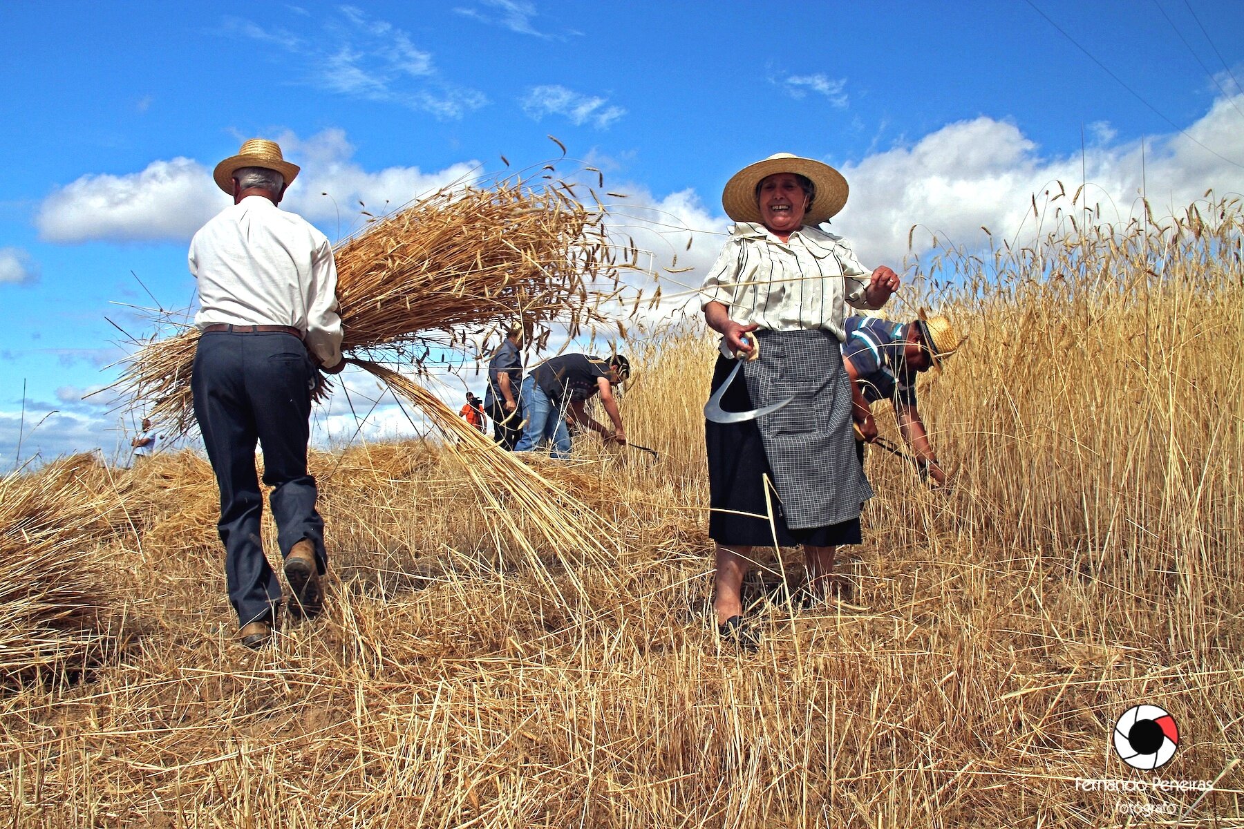 Ceifas_palacios_01-2